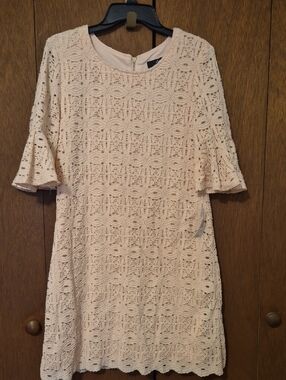 Ronni Nicole Pale Blush Lace Dress SZ 10